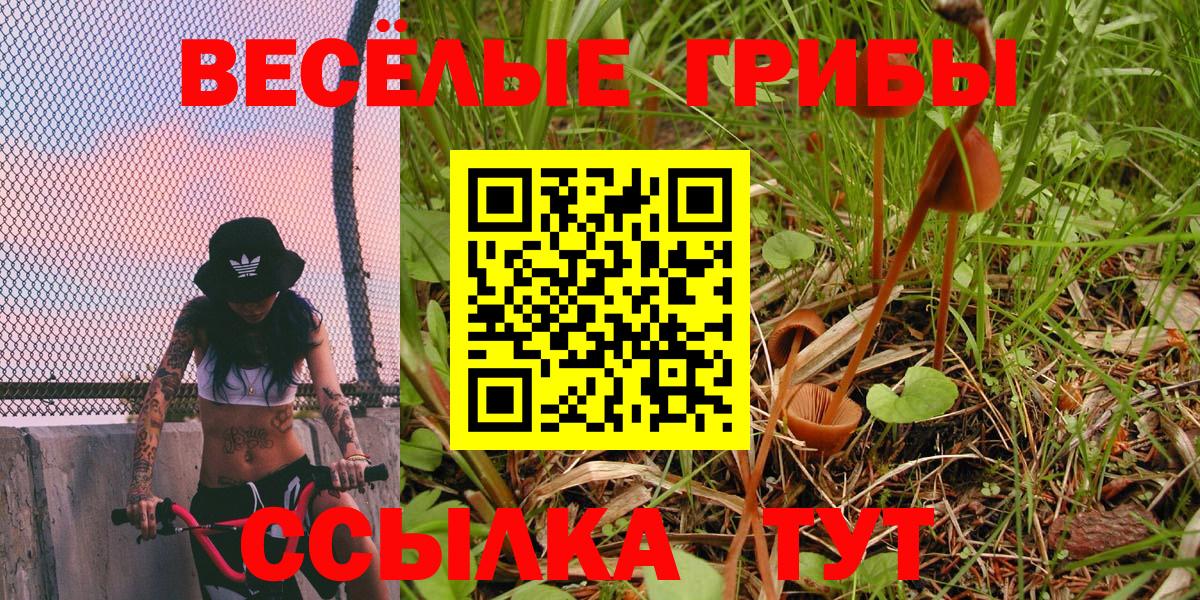 Киров  Псилоцибиновые грибы прущие грибы  Вход с VPN 